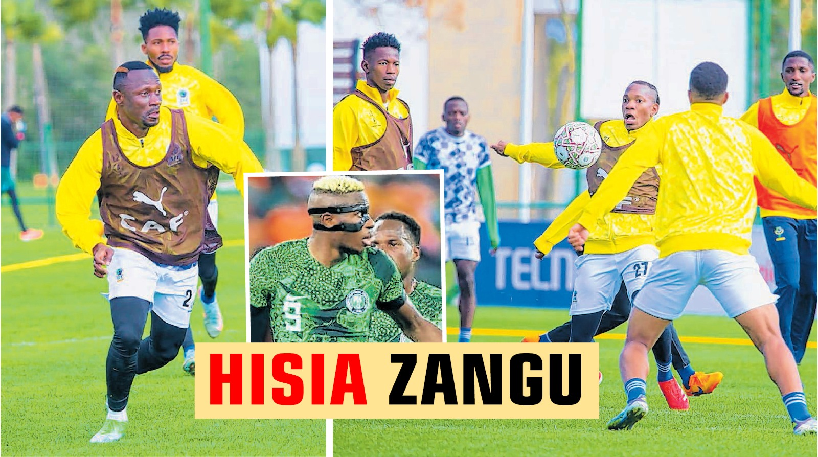 HISIA Pict