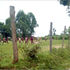Elukho Primary School
