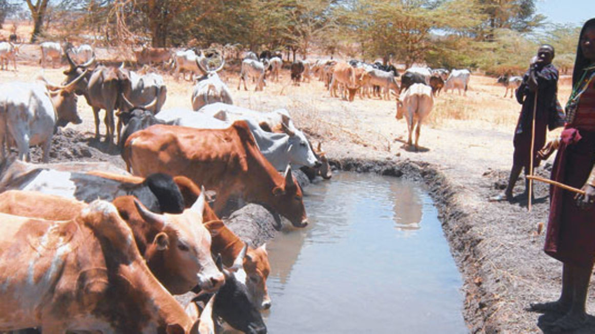 Maoni Ya Mhariri Tunataraji Kuona Suluhisho La Migogoro Ya Wakulima