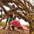 samburu desert locusts