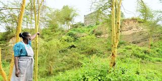 Ndarugu quarry Nakuru