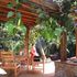 Noir Gallery garden