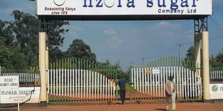 Nzoia Sugar Company