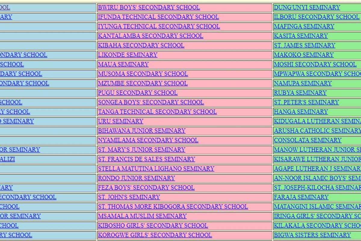 Matokeo ya kidato cha pili 2020 2021 haya hapa Mwananchi