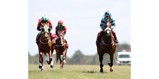 Jockey Lesley Sercombe