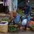 India vendors