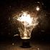 bulb