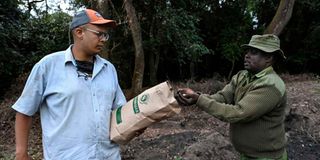 Nyakweri Forest