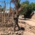 Mozambican soldiers