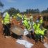 Roads project