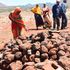 Marsabit killing