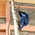 Kenya Power