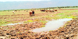 Lake Kamnarok Game Reserve