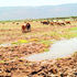  Lake Kamnarok Game Reserve