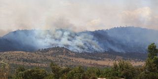 Lolldaiga fire