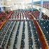 Nairobi Baptist Church