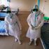 Covid unit at KNH