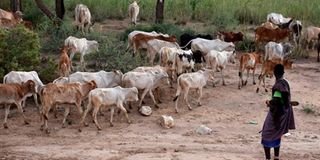 Urura village Violence