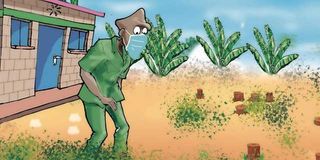 Mwalimu Andrew