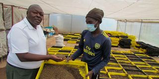 Fish farming
