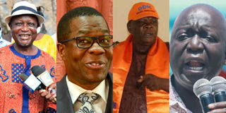 Oburu Oginga, Ugunja MP Opiyo Wandayi, Alego Usonga politician Nicholas Kut