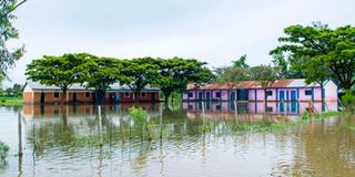 floods