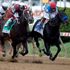 Irad Ortiz 