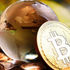 cryptocurrency