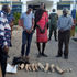 Elephant poachers