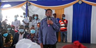 Siaya Senator James Orengo