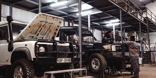 Opibus