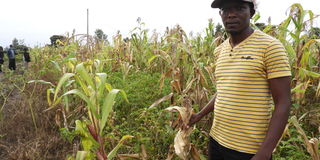 Farmer Rashid Tonui