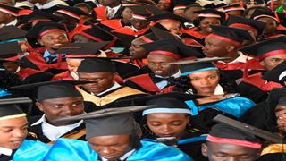 University degree