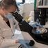 Biologist at OSE Immunotherapeutics labs