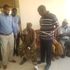 Security officers in Mandera