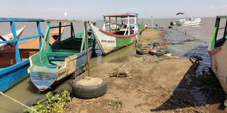 Dunga Beach