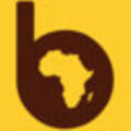 bird-logo