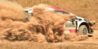 Safari Rally.