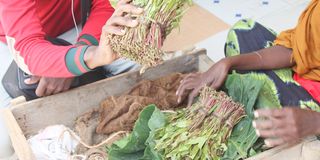 Miraa