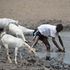 Ijara drought