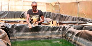 Sharon Mutiga