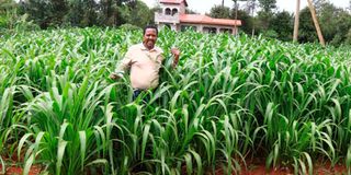 Githaiga Kihara