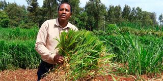 Githaiga Kihara