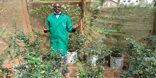 Wilson Ndung’u