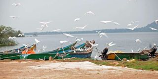 Honge Beach