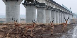 SGR
