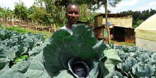 Gideon Kiprotich