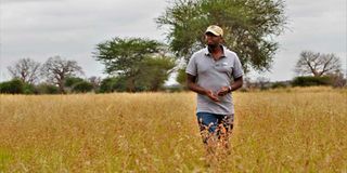 Festus Mwaniki