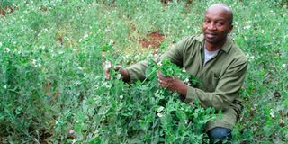 Edward Kagwamba