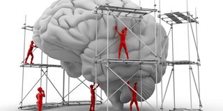 brain mental health